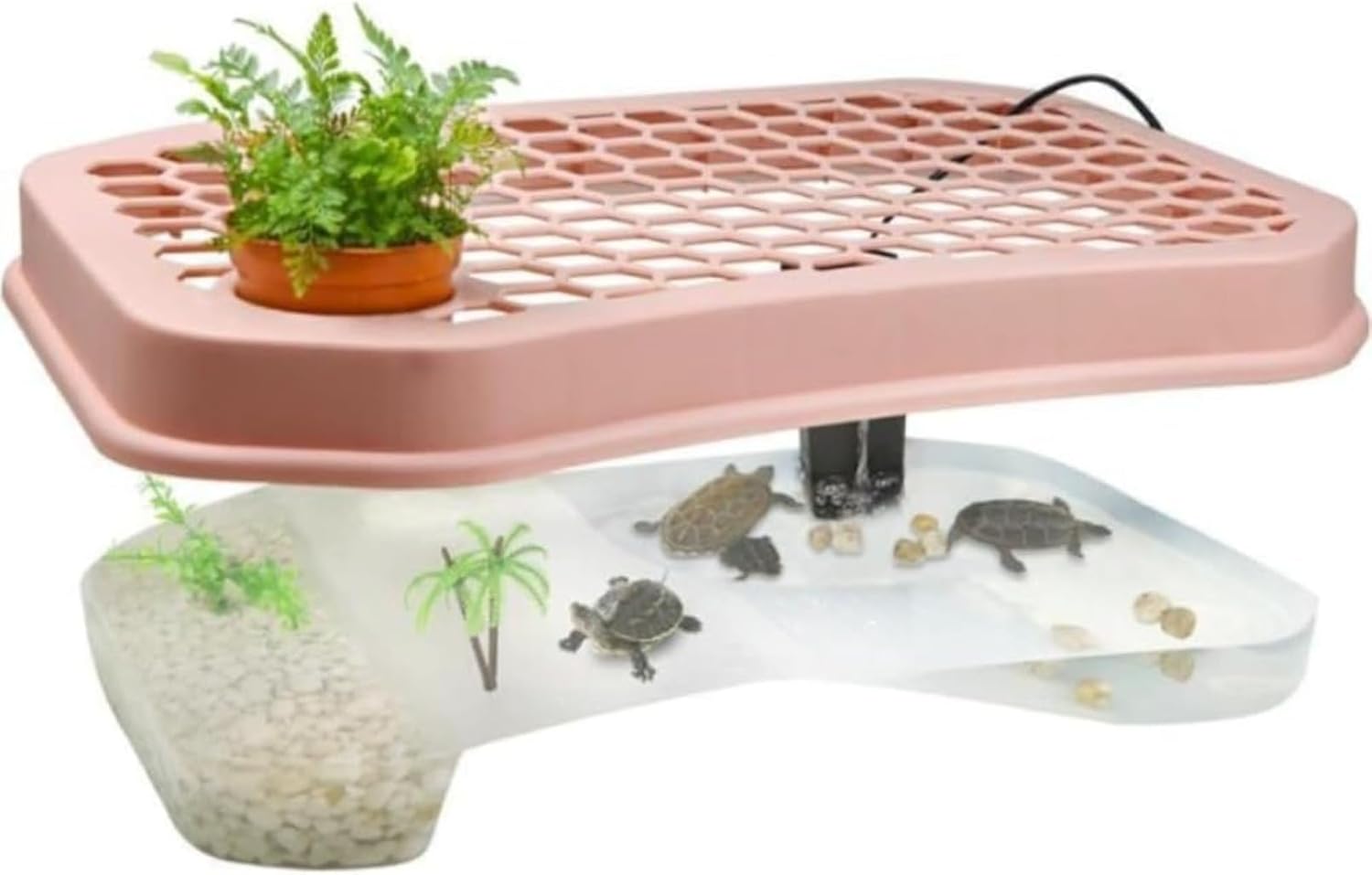 爬虫類飼育ゲージ 爬虫類用品卸 爬虫類飼育ガラスケージ両生類飼育